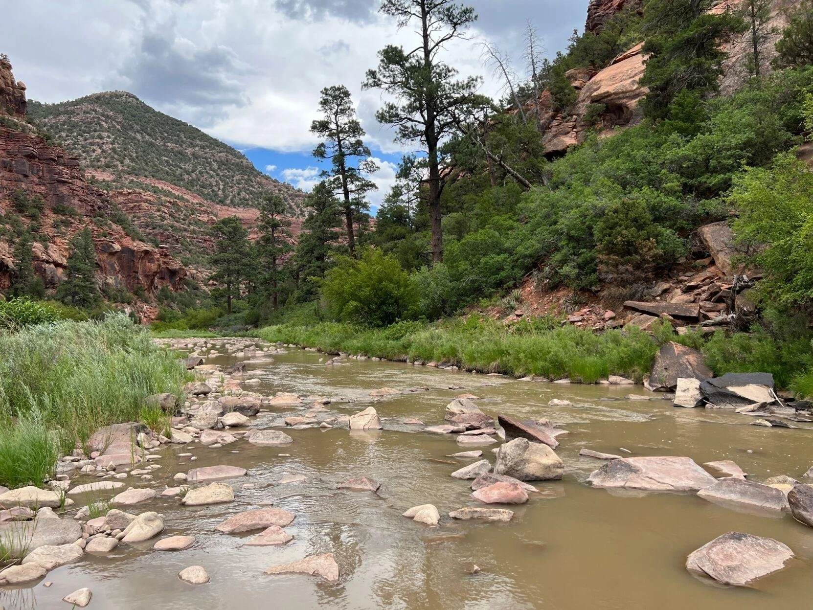 New legislation would protect Dolores River