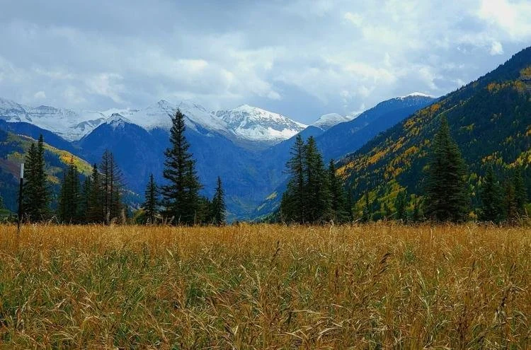 Valley Floor bond paid off: Local advocate says it time to celebrate, and plan