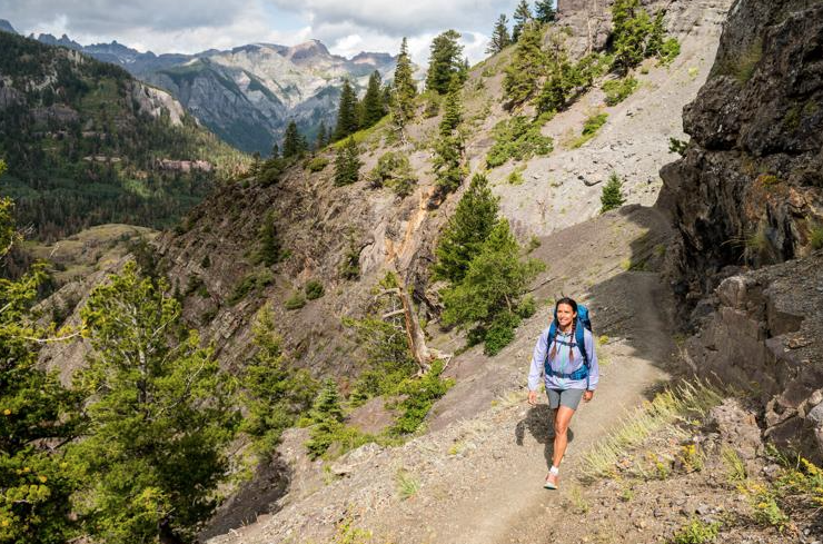 Enviro groups hope to improve plan for national forest