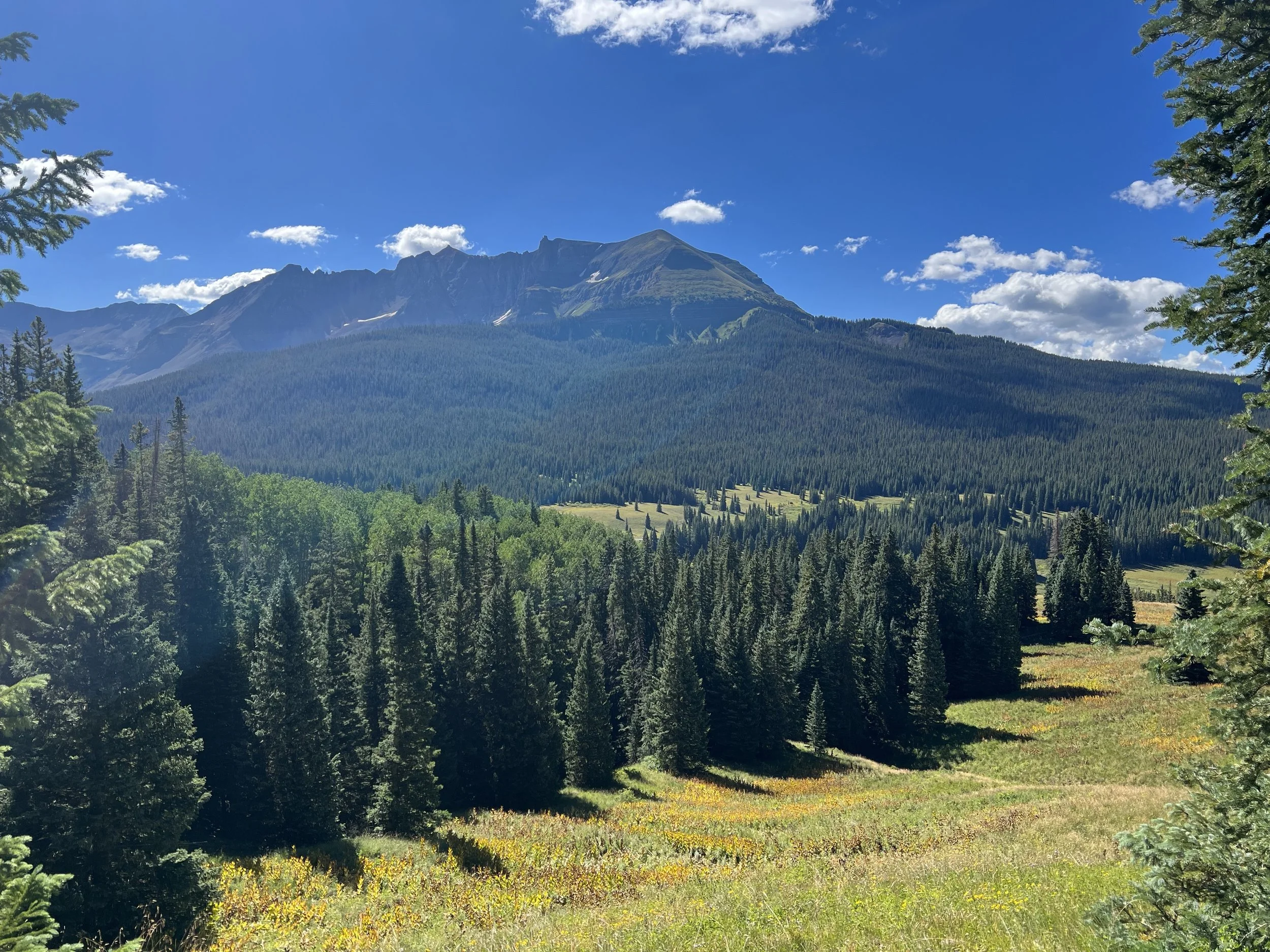 Conservation groups object to GMUG plan