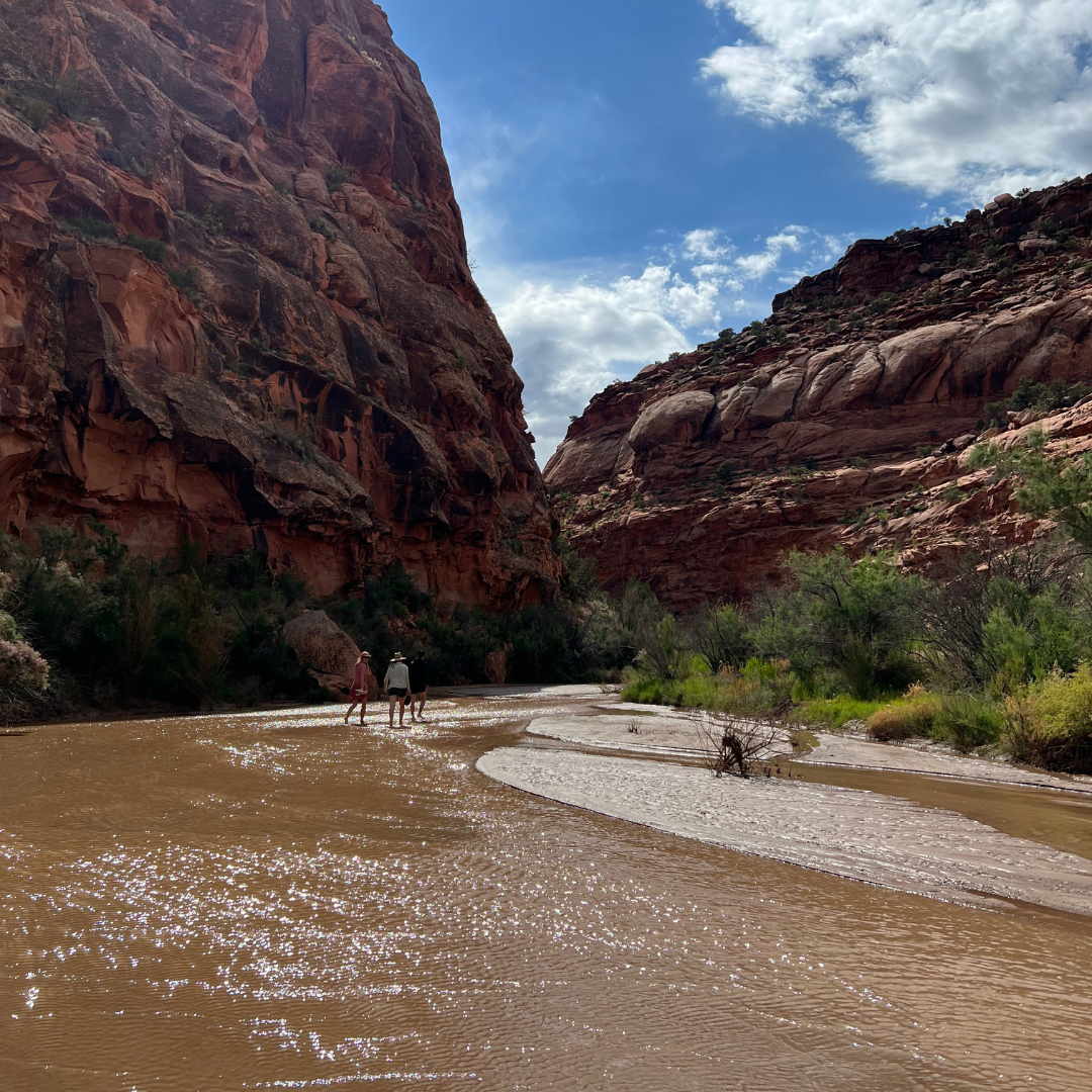 The Dolores is a gem for recreationalists in southwest Colorado