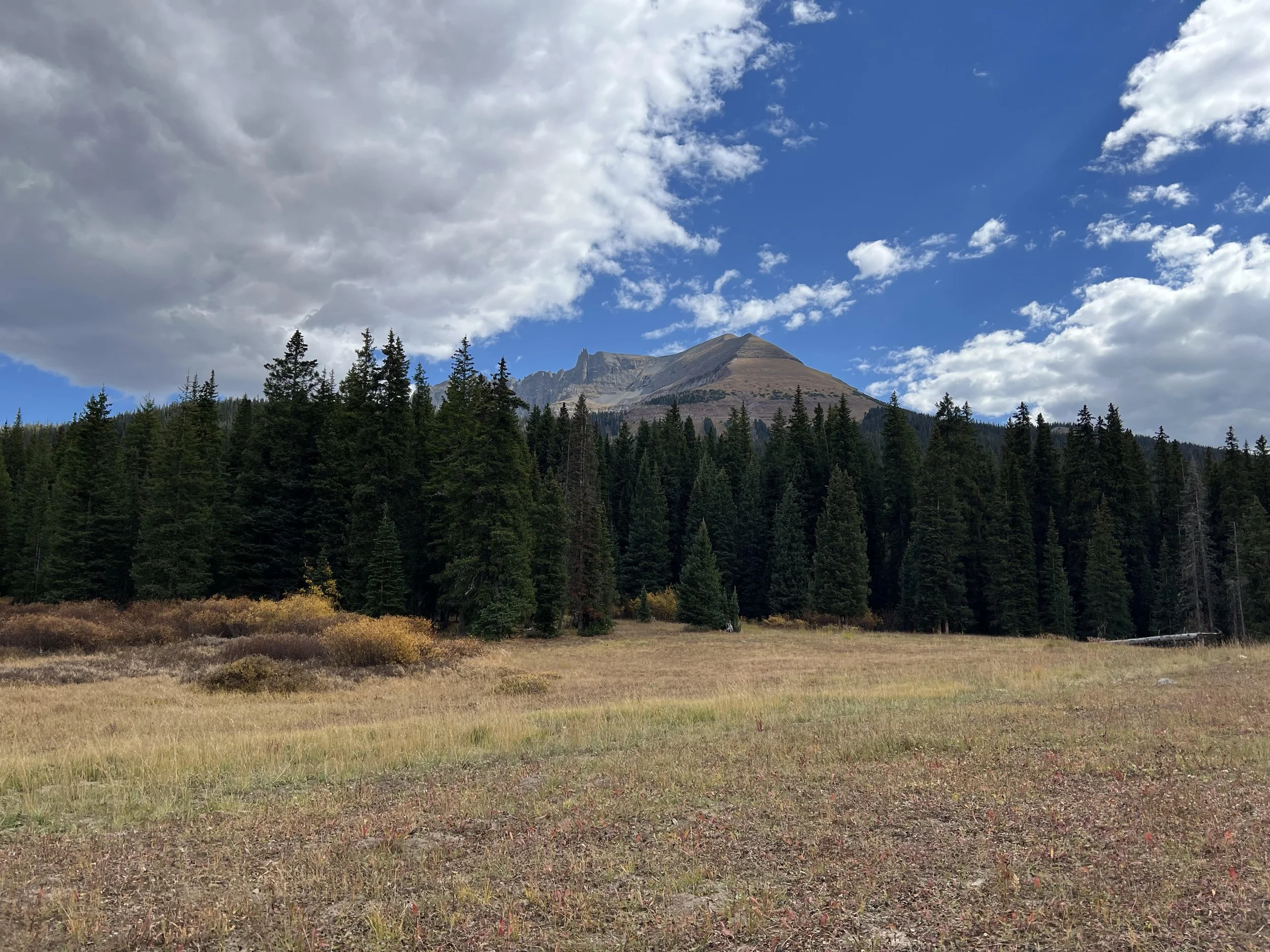 How to comment on the Telluride Mountain Club's Trails Proposal