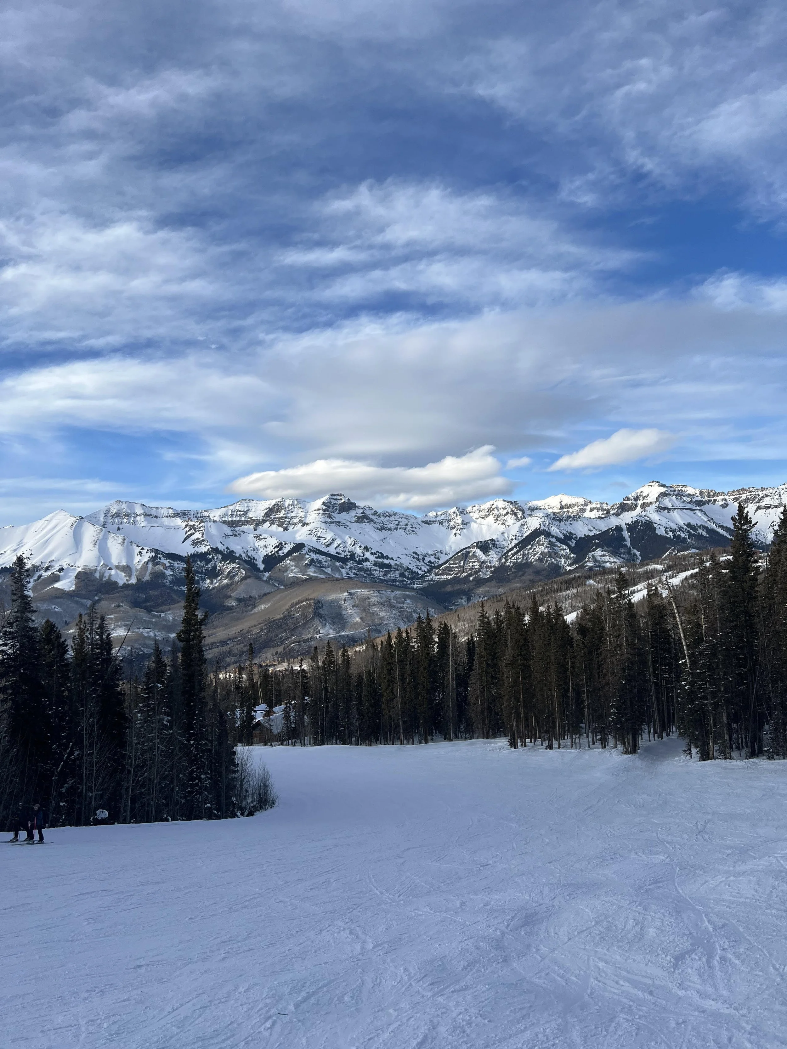 Submit your comment on Telluride Ski Resort's Improvements Project!