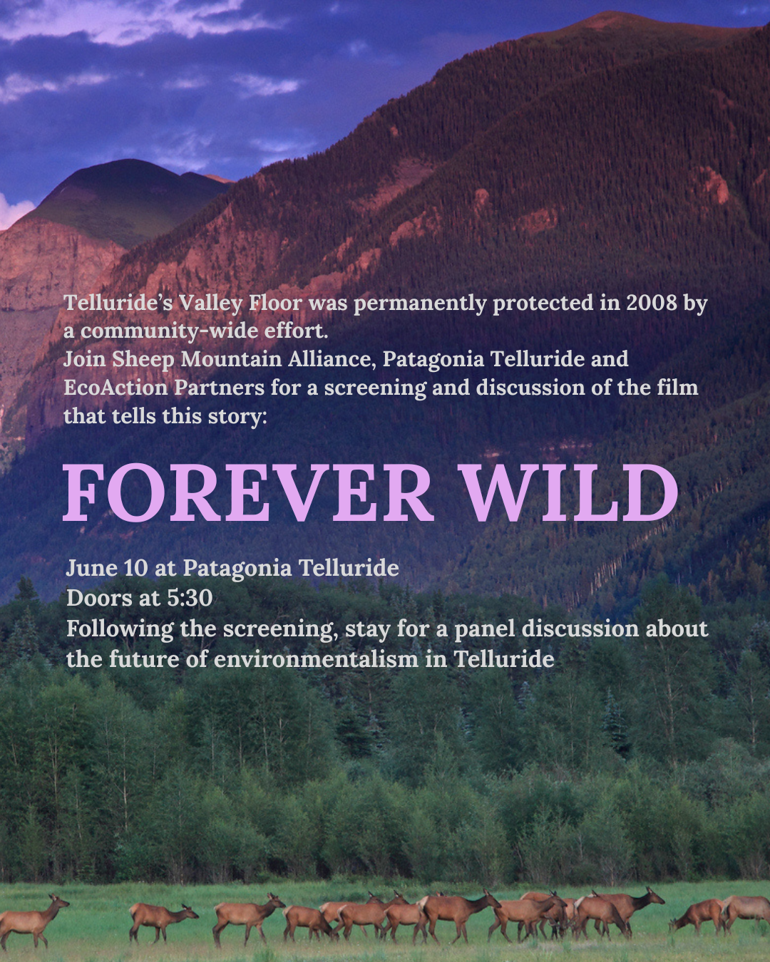 Film Screening and Panel Discussion: Forever Wild