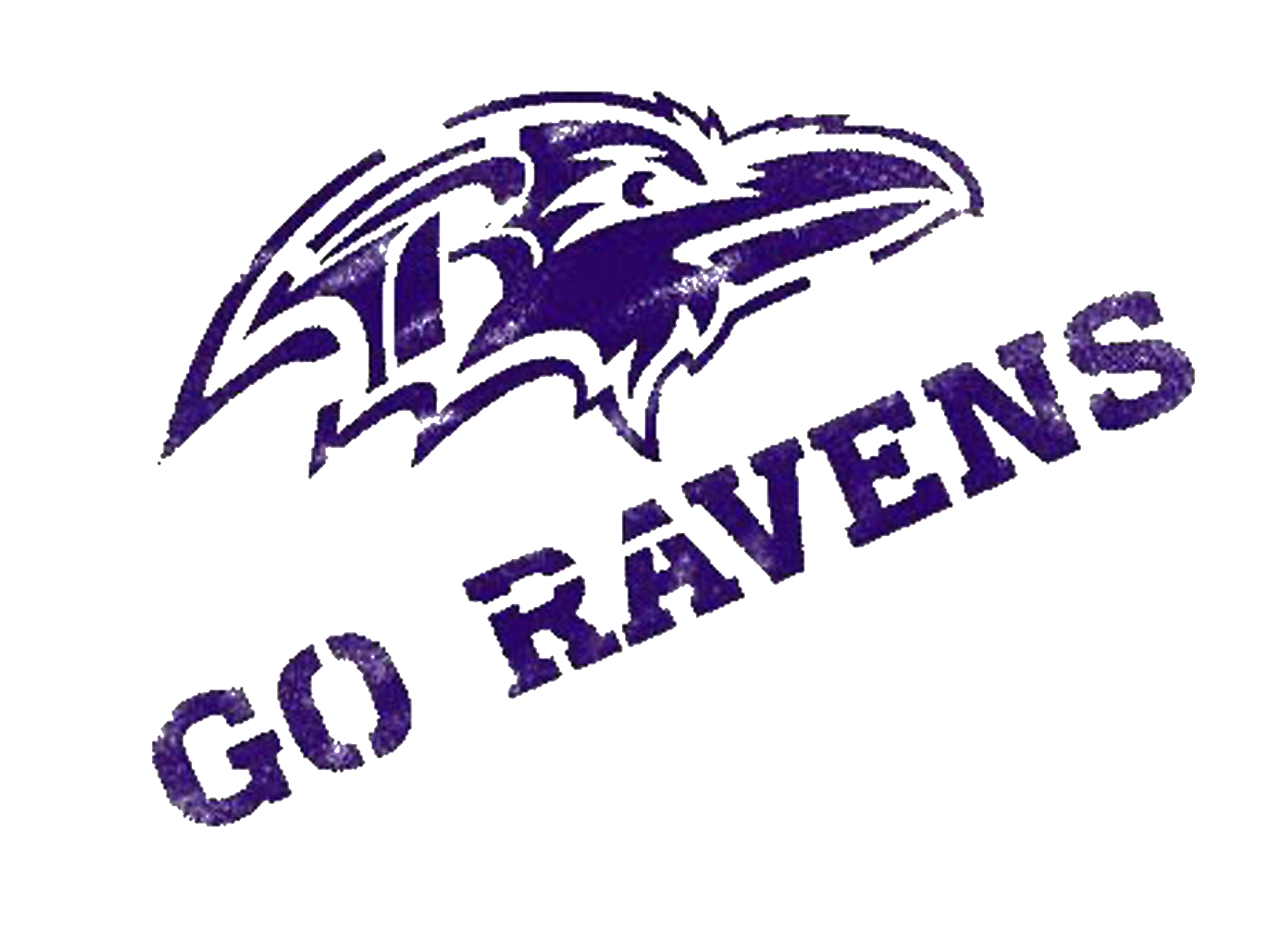 Go Baltimore Ravens! We clean homes for Ravens Players and Team Associates.