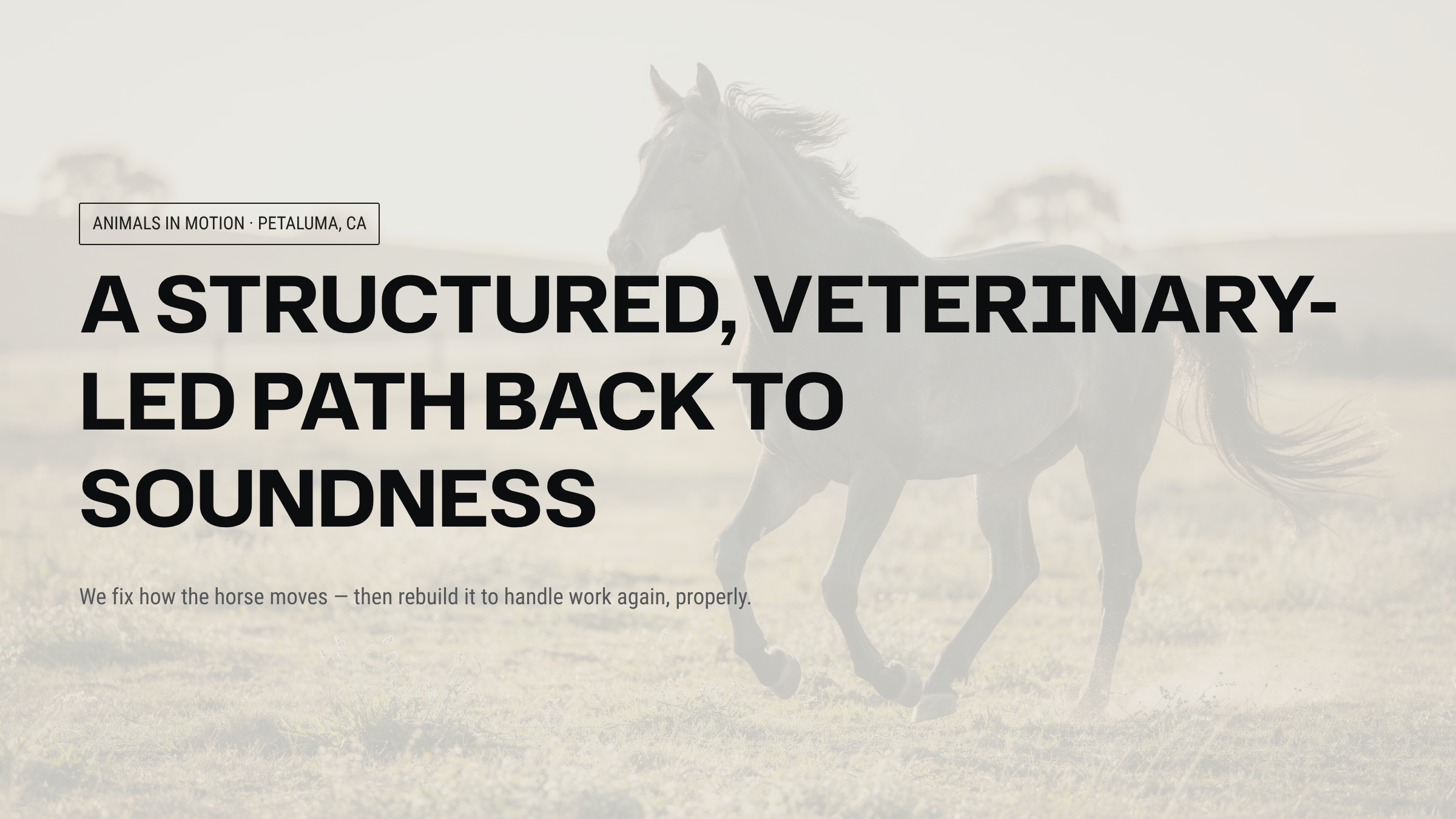 1_A-Structured-Veterinary-Led-Path-Back-to-Soundness.png