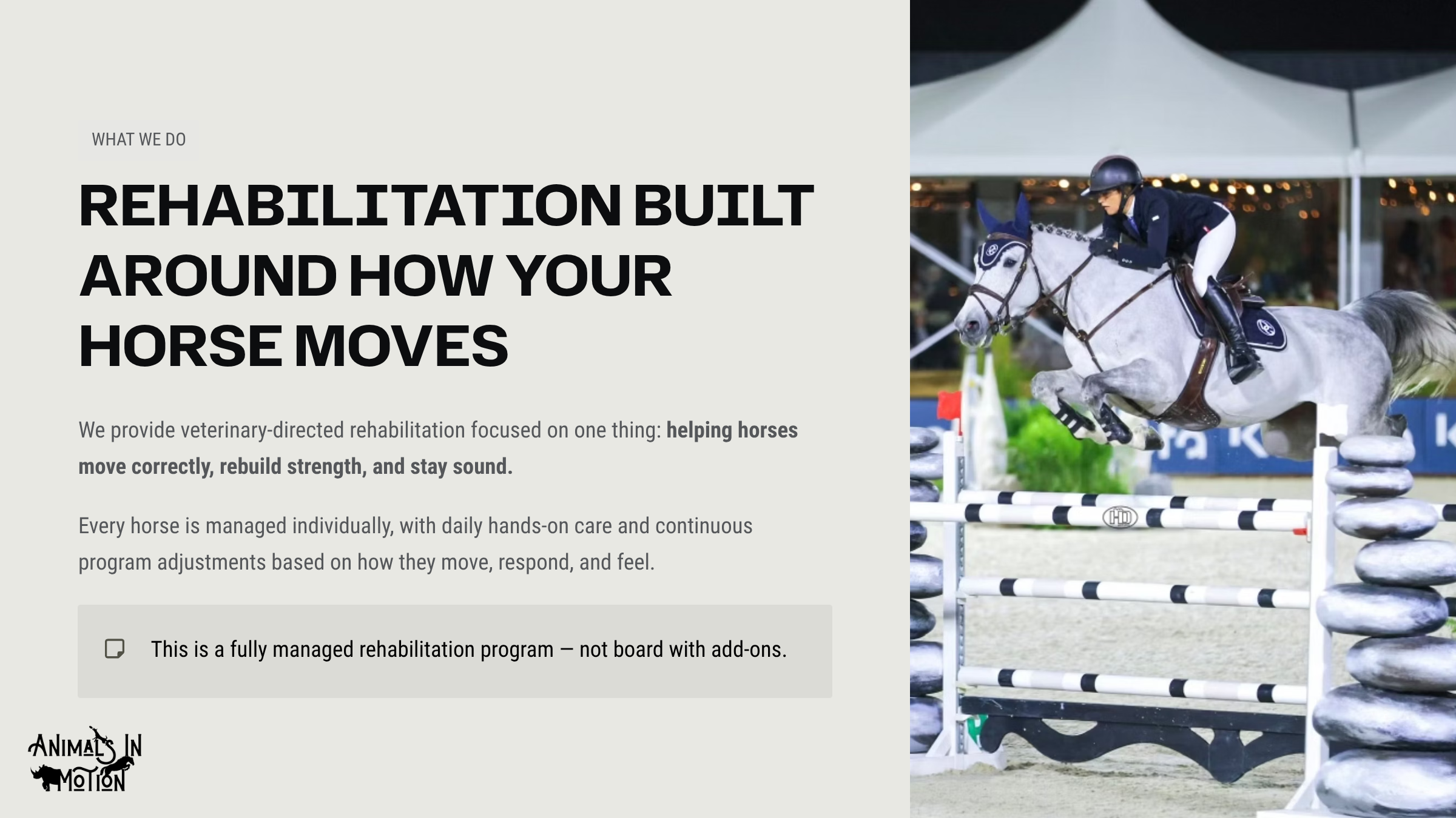 2_Rehabilitation-Built-Around-How-Your-Horse-Moves.png