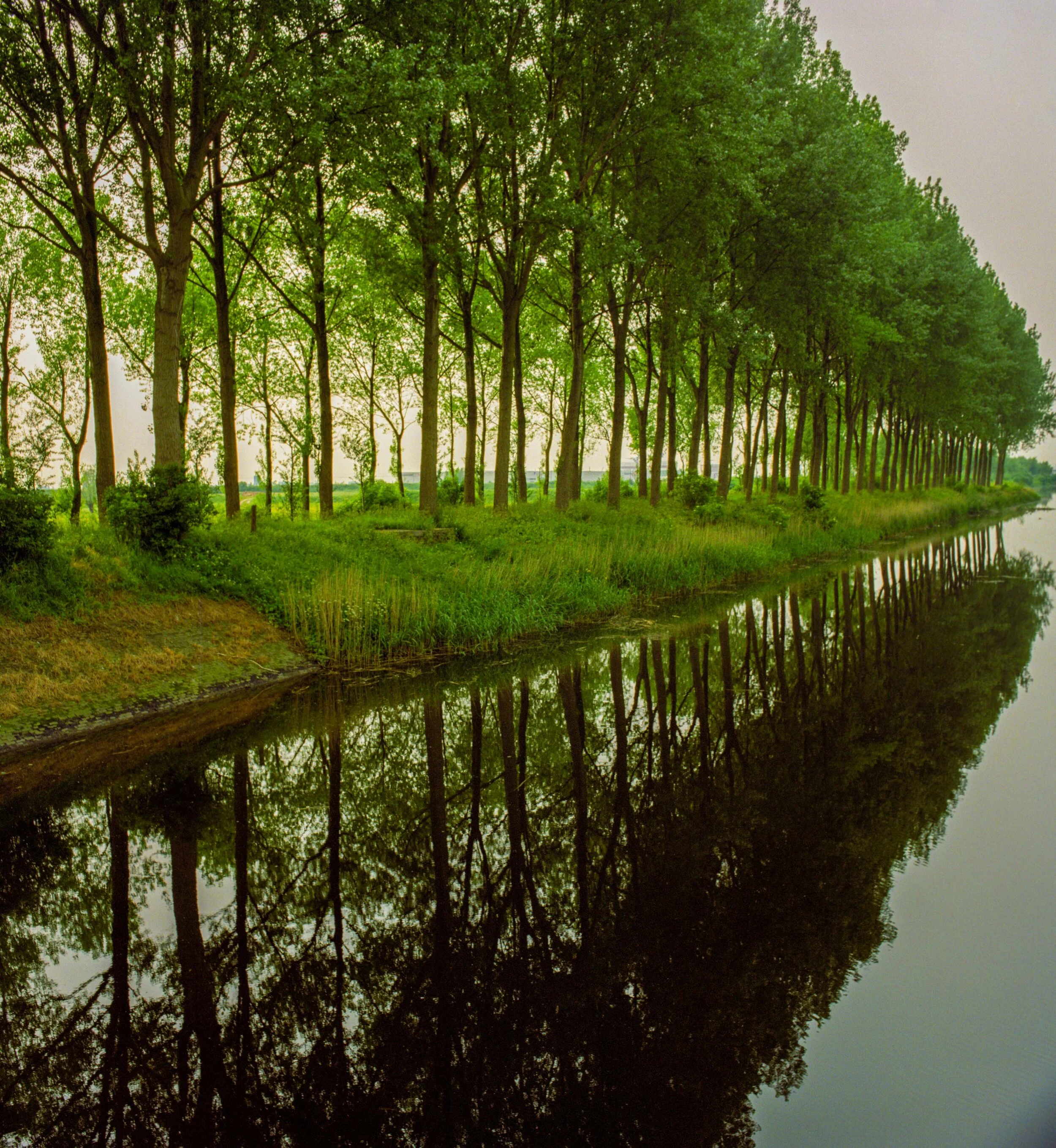 Jacob Lindenthal Landscape (3 of 33).jpg