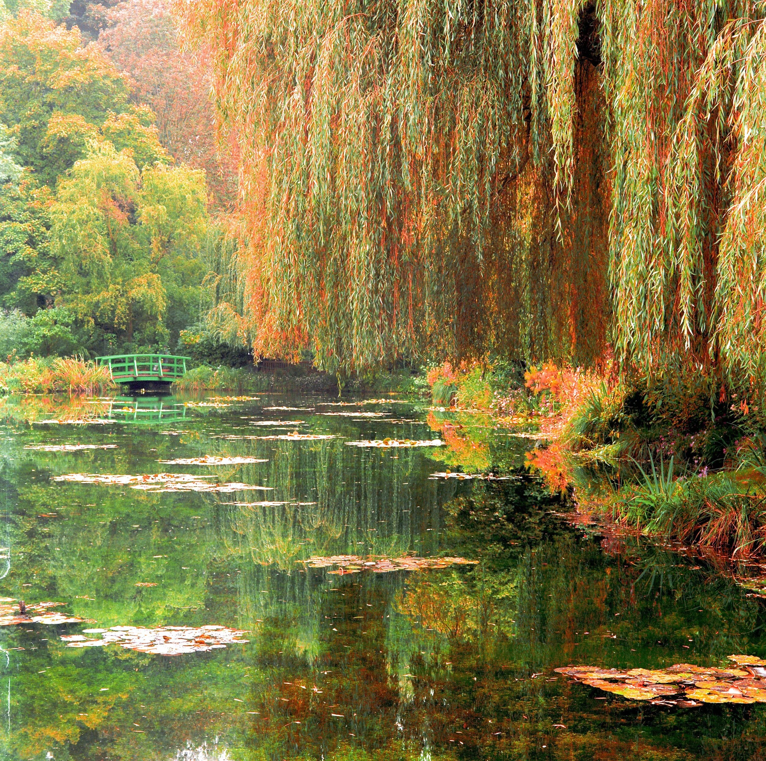 Jacob Lindenthal Landscape (19 of 33).jpg