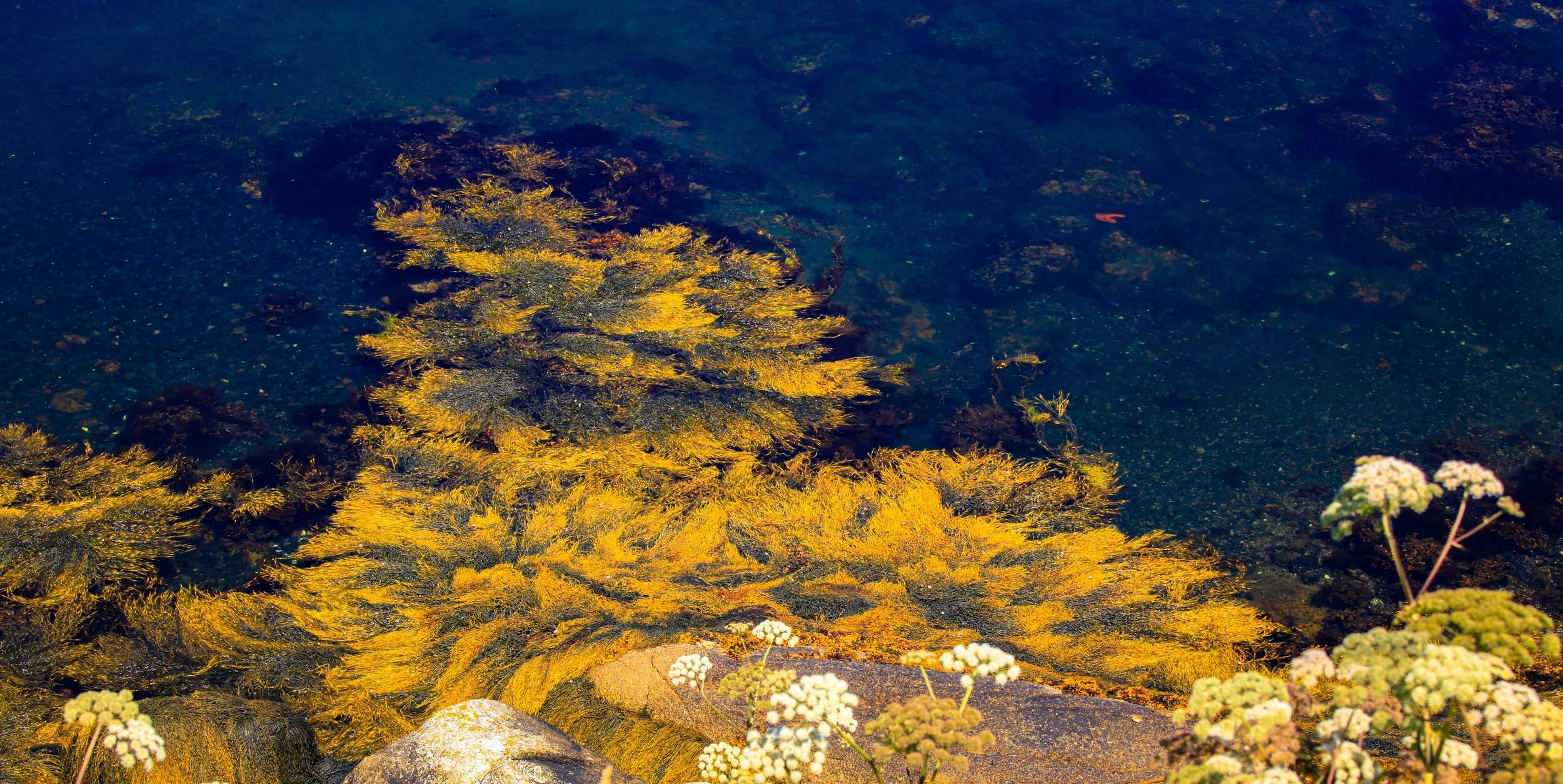 20110825-_MG_7610.jpg