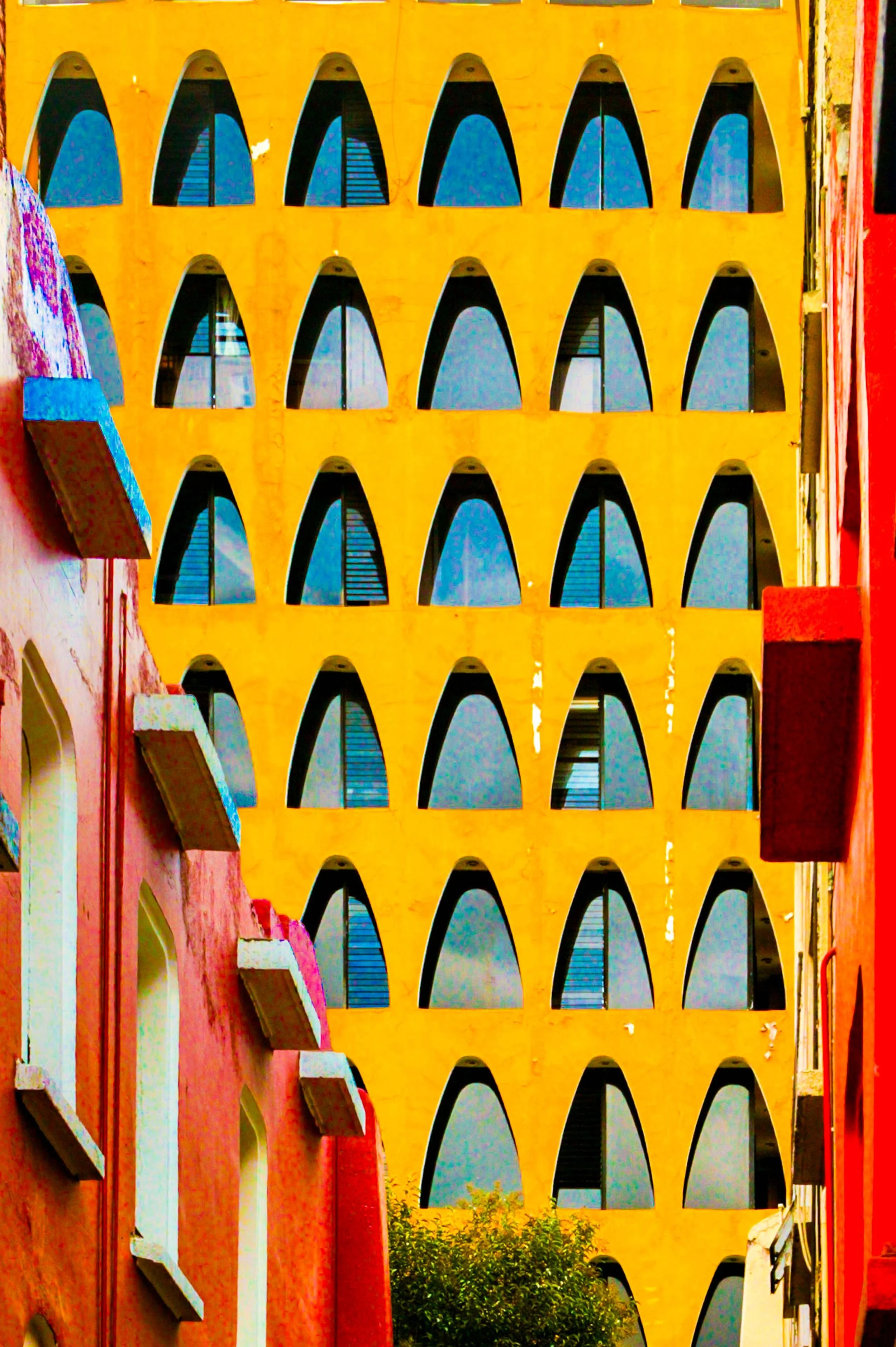 Jacob Lindenthal - Color-3.jpg