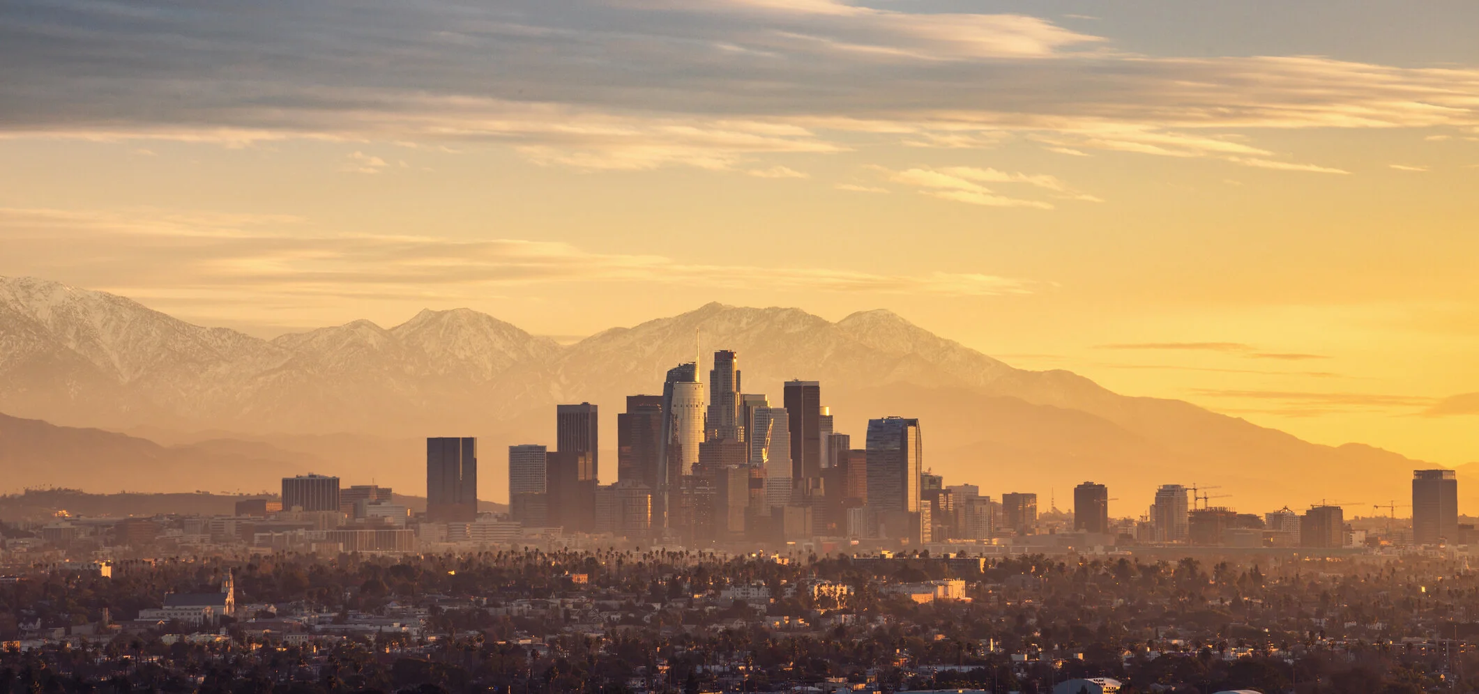 Concord Real Estate Services