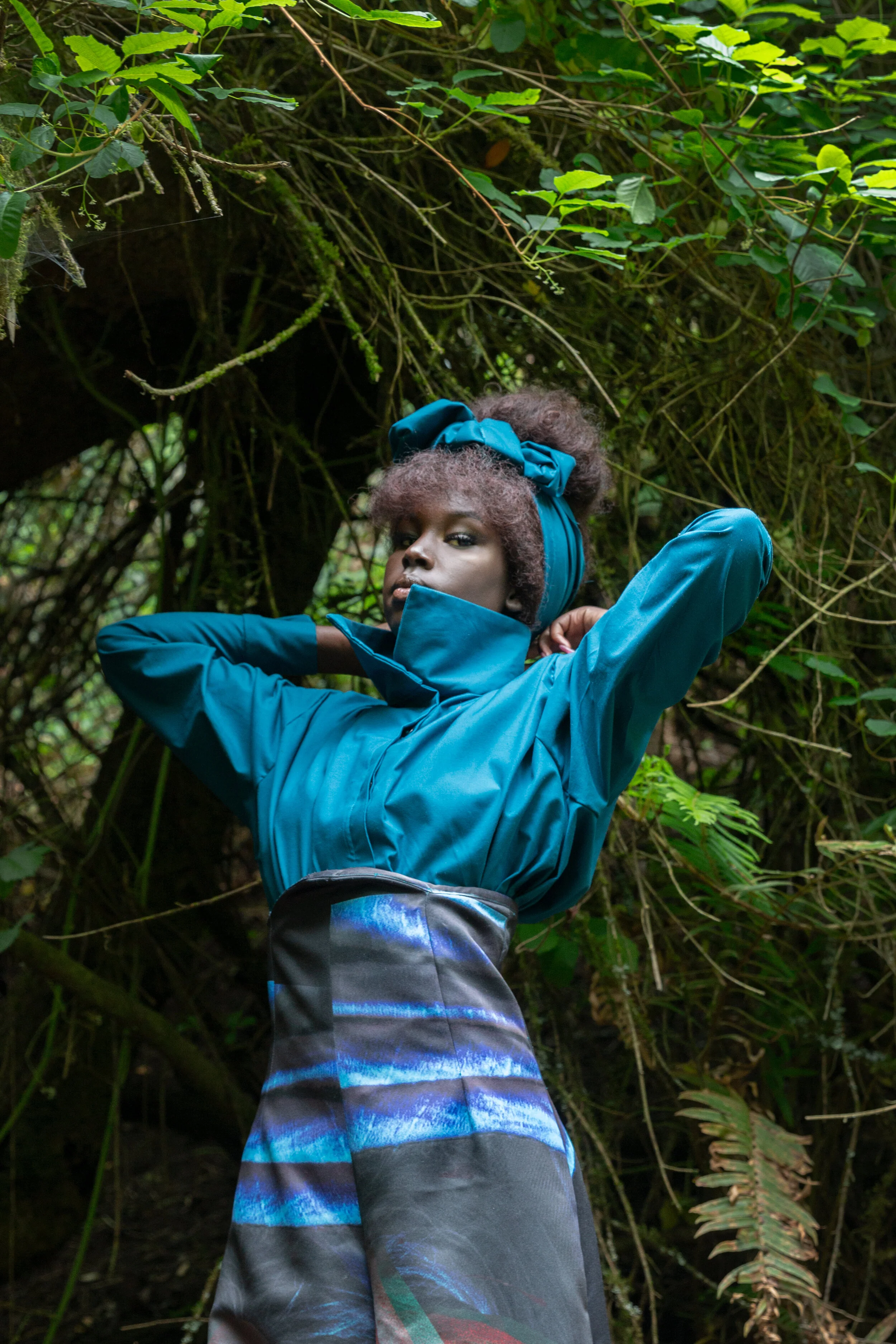 MuirWoods_HL7.jpg