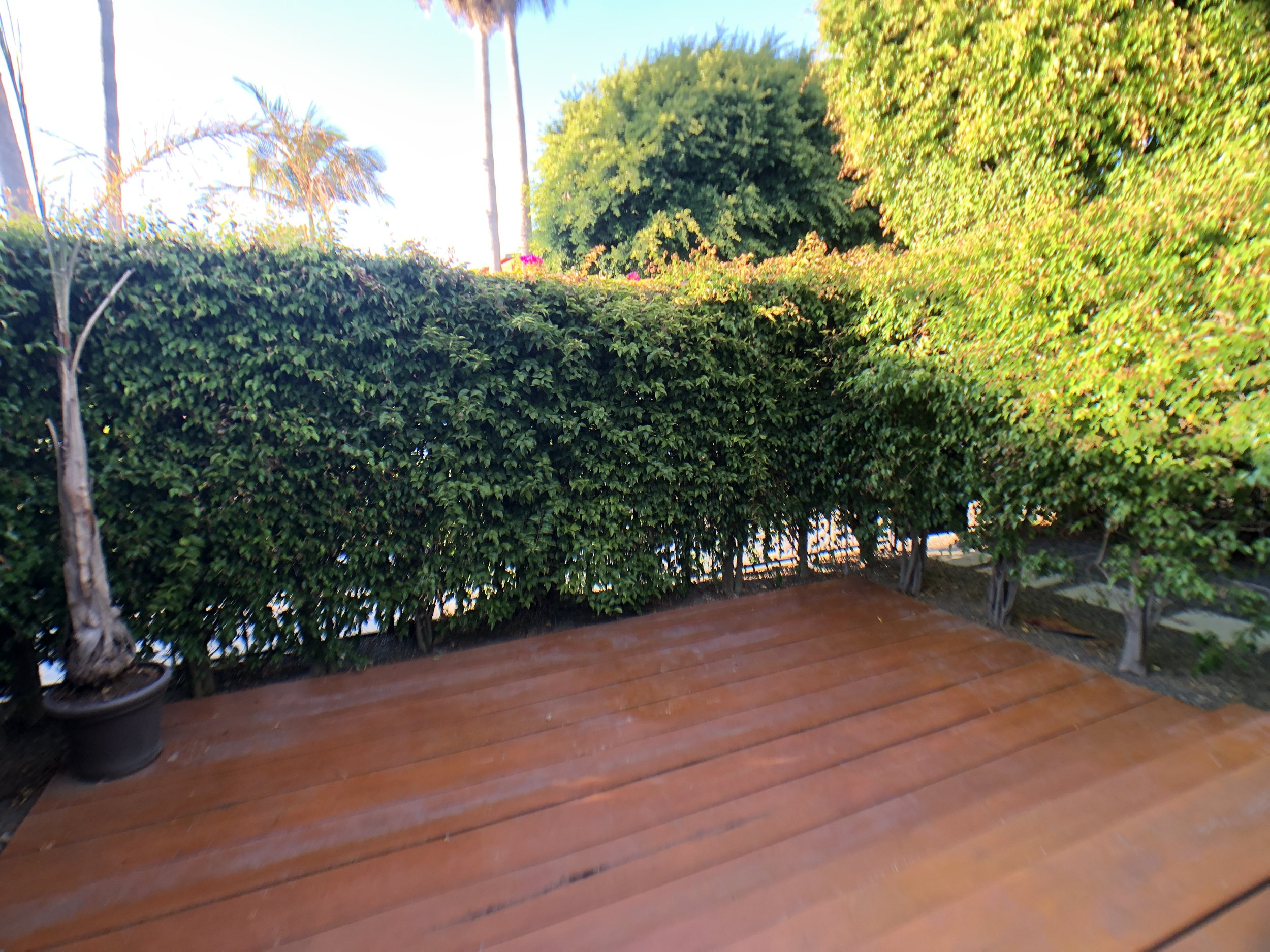 608 Westminster Avenue #A