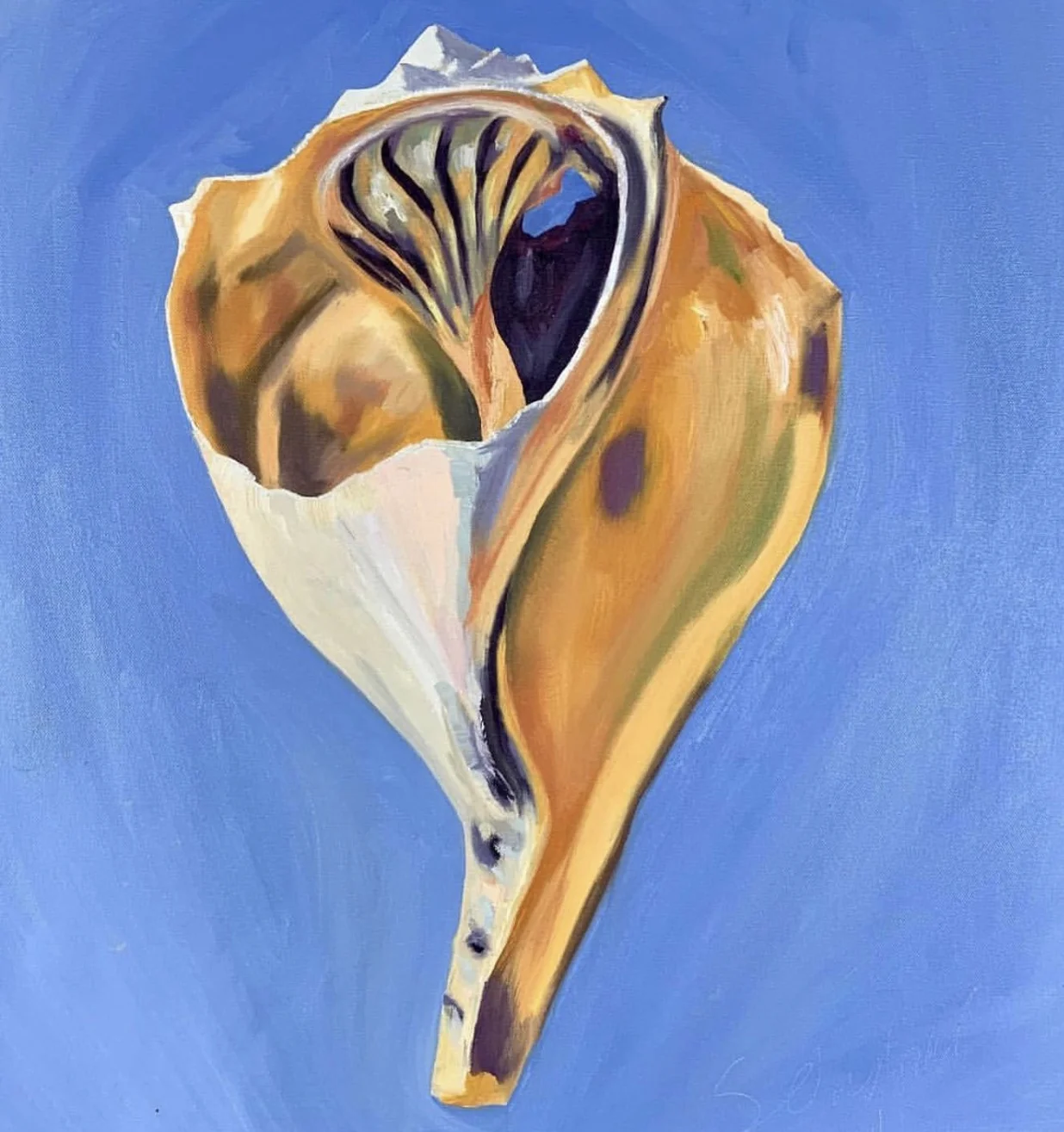 100 Broken Shell Series #7