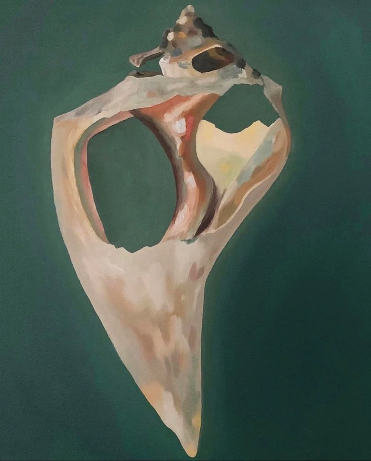 100 Broken Shell Series #5