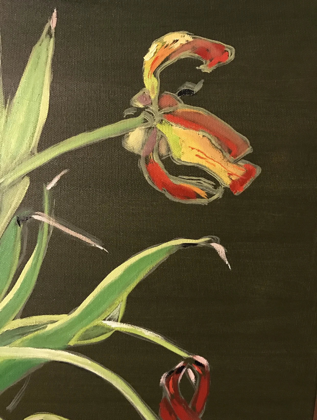 Dead Tulips (detail above) 2017 by Susan Darwin Oil on Canvas