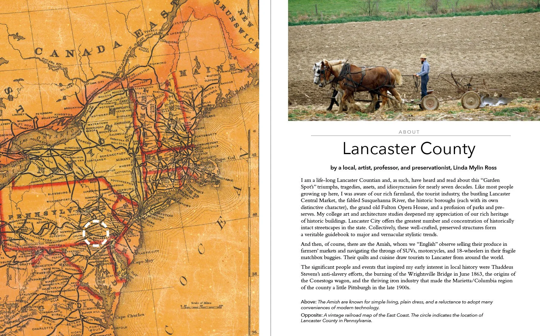 Susan Darwin's Lancaster County Paintings catalog interior view of the introduction by Linda Mylin Ross (Copy)