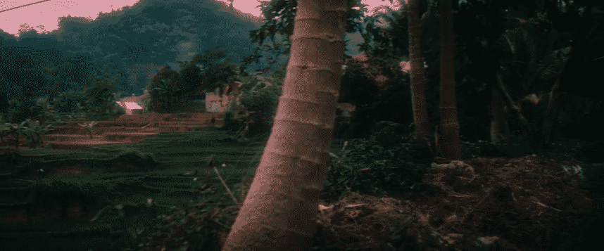  Si Ayu [The Least] - a Removed Story