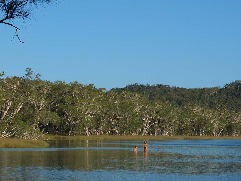 DSCF7818.jpg