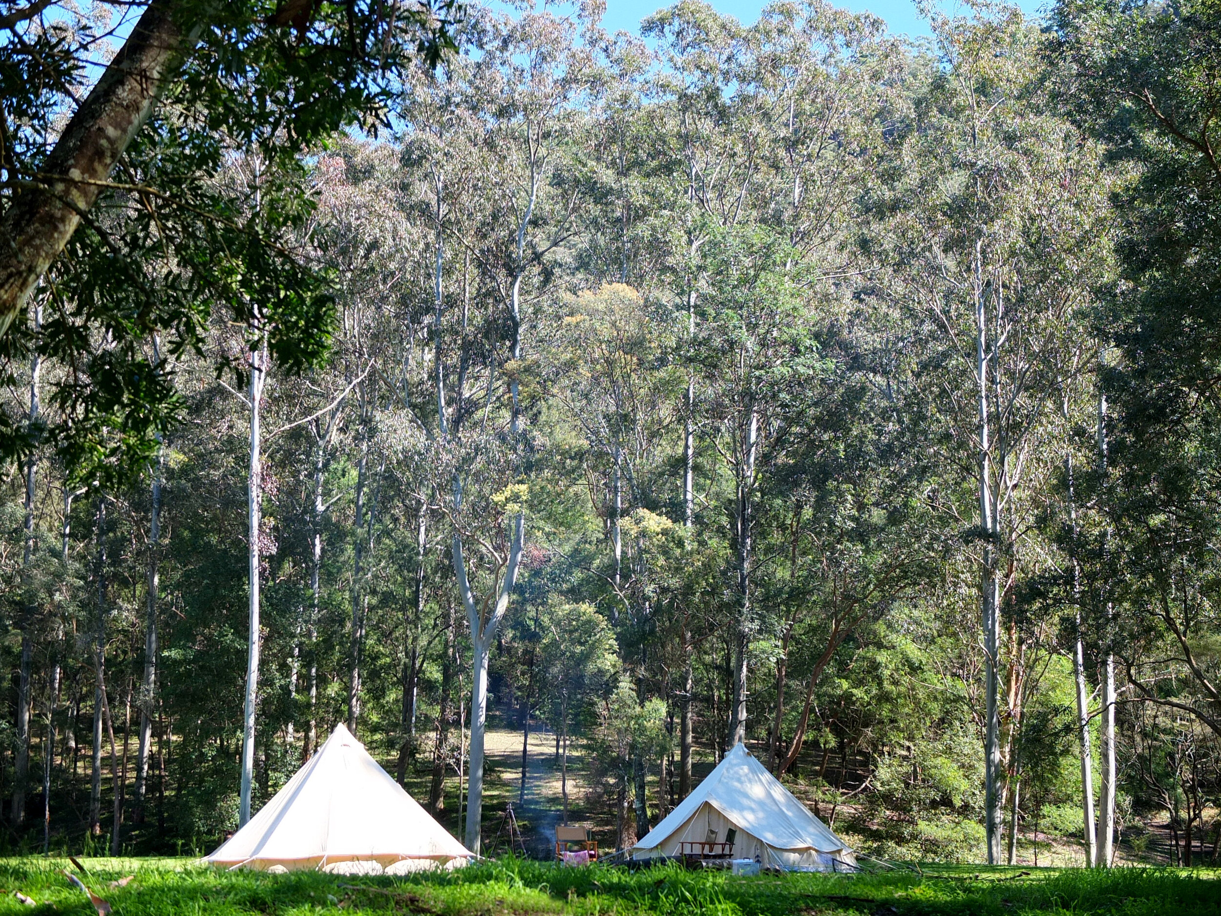 The Wanderer Package - Glenworth Valley