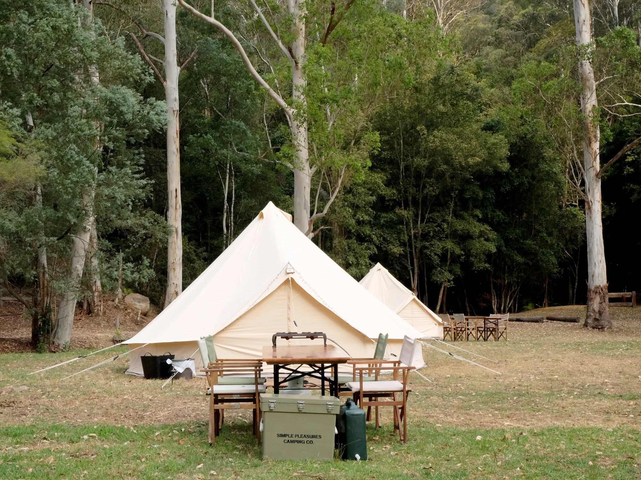 glenworth_villageferncove.jpg