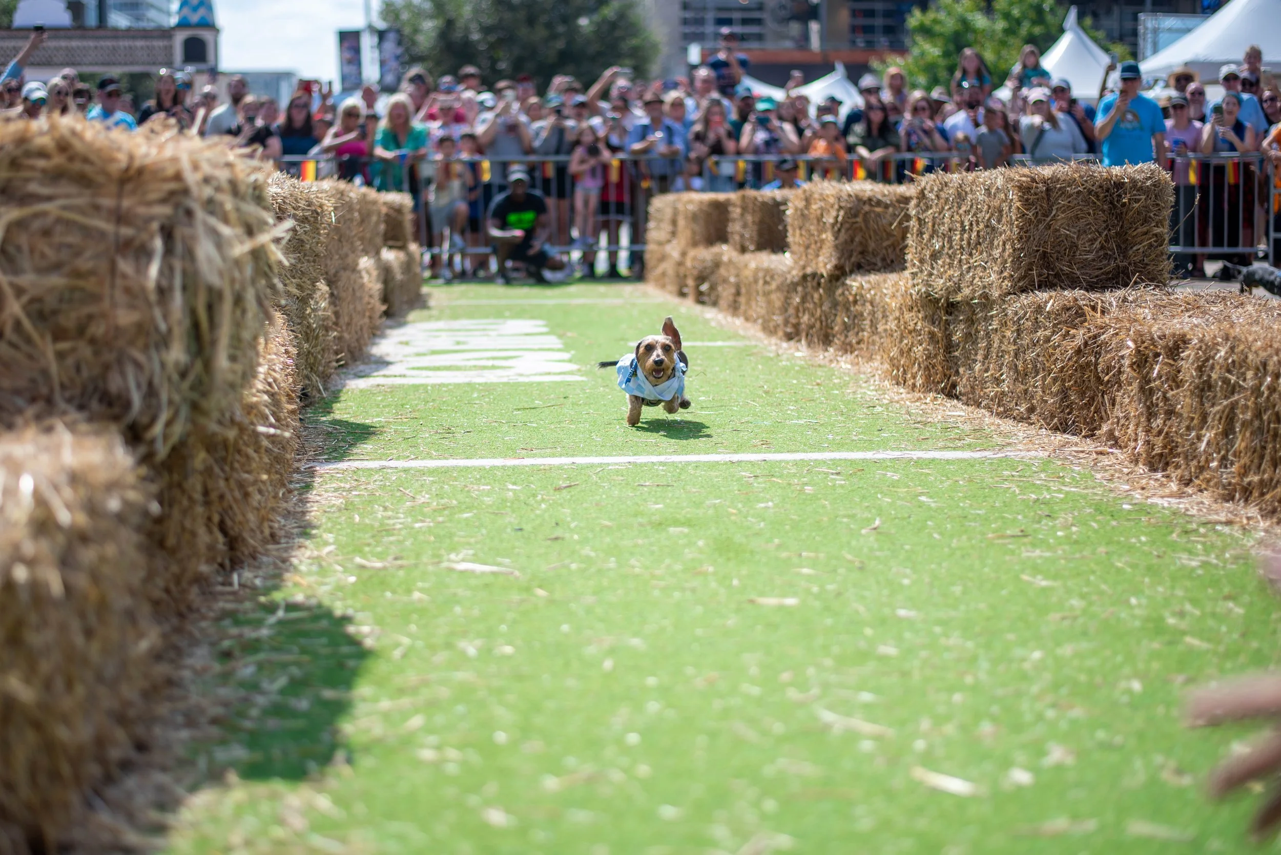 2024.10.05 Frisco Oktoberfest - 193.jpg