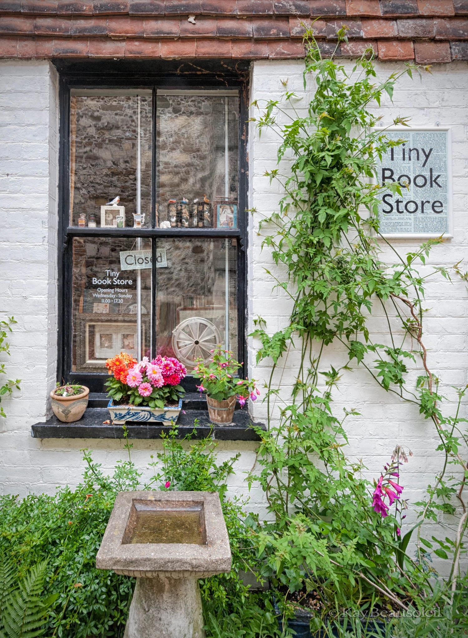 Little Things: TINY BOOK STORE