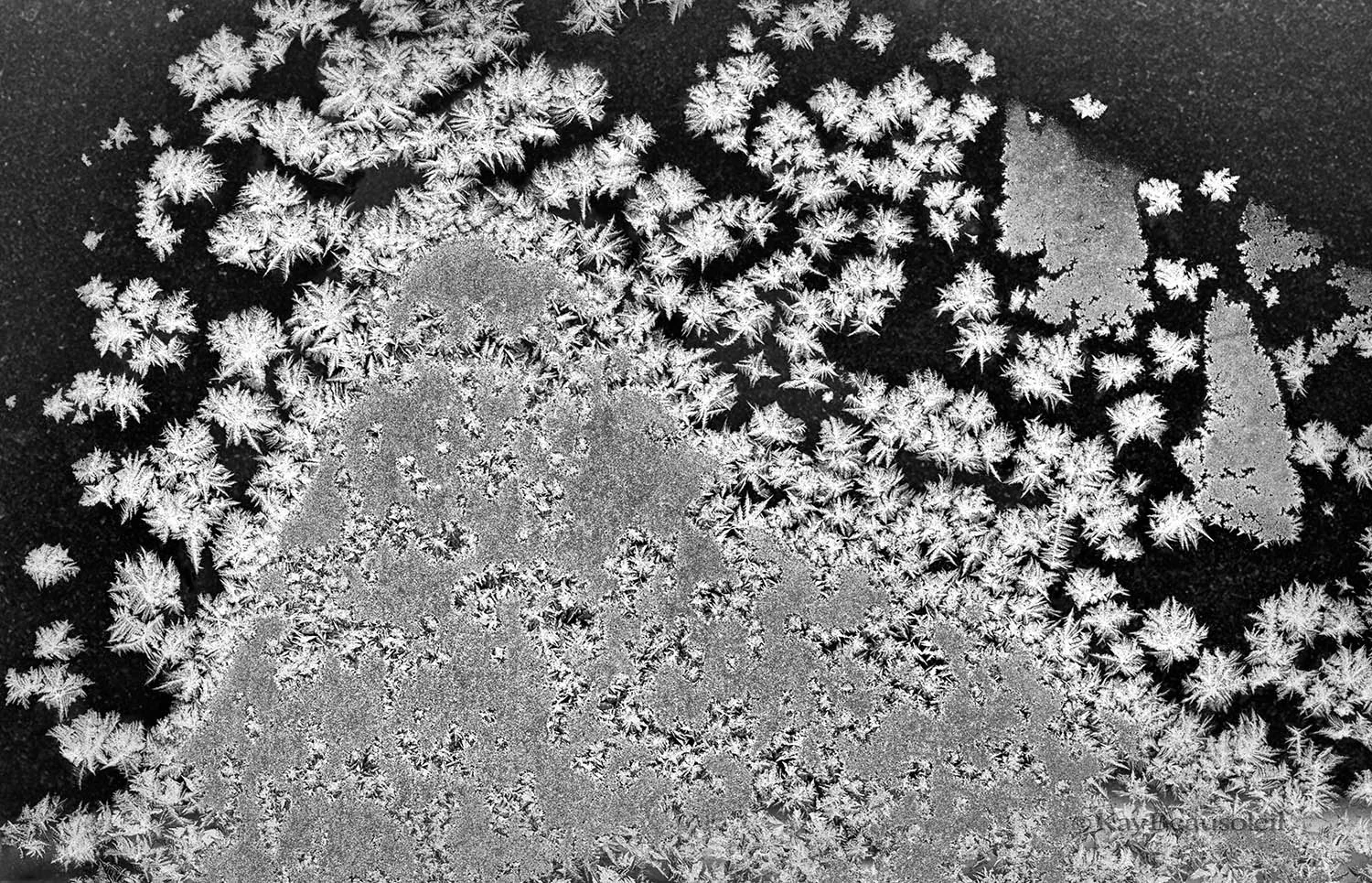 Up Close and Personal: DESIGN IN FROST