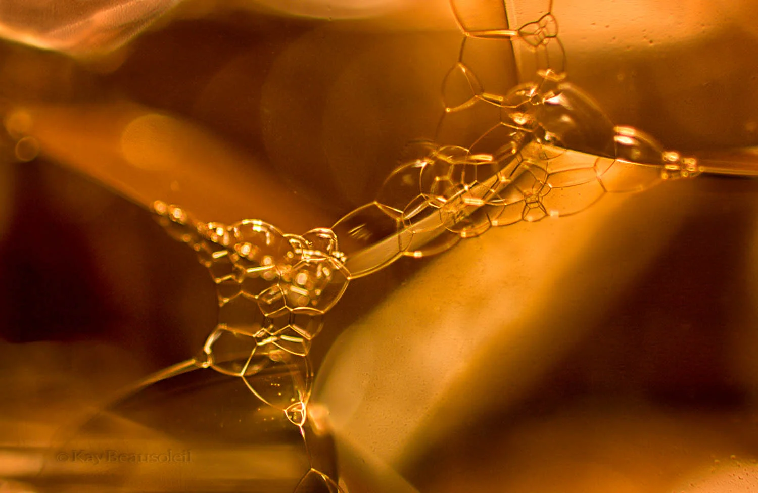 Up Close and Personal: SOAP AND LIGHT