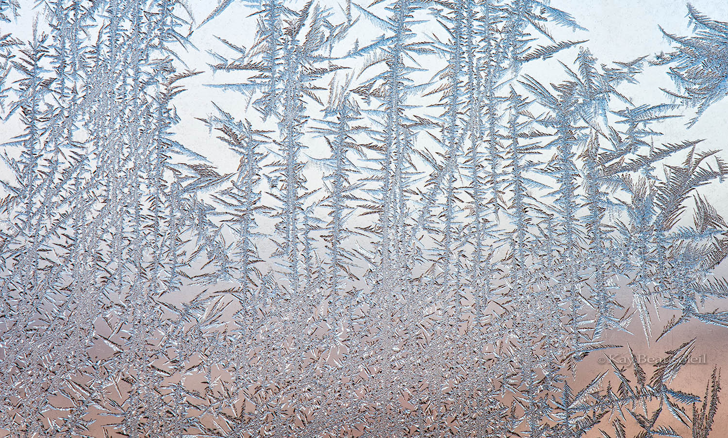 Found Art: EVENING FROST