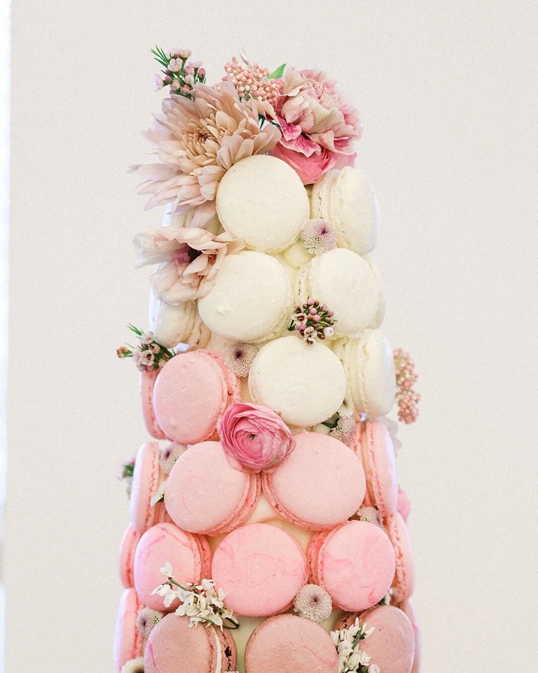 From delicate florals to bold pops of color 🌼🍰 

@Little.sweets.cakes brings wedding cake dreams to life. 

#engagedaf #illinoiswedding #iowawedding #isaidyes #qcbride #qcfindnow #qcweddingvendors #qcwedme #quadcities #quadcitiesbride #quadcitieswe