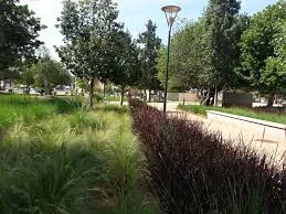 AAPM - Association des Architectes Paysagistes du Maroc