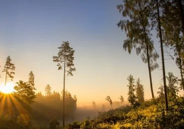 LKAS - Lithuanian Association of Landscape Architects