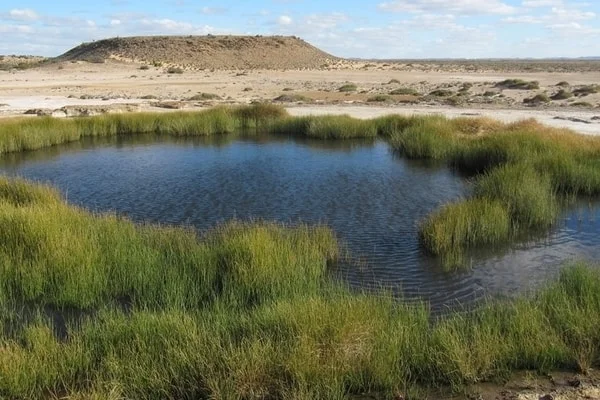Foreground newsletter - 5 September 2019