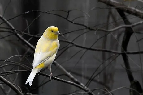 Foreground newsletter - 31 October 2019