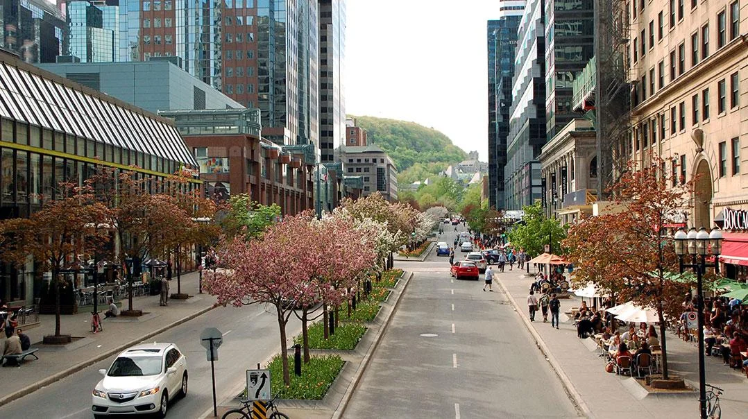 McGill College: An Avenue Reinvented International Multidisciplinary Urban Design Competition