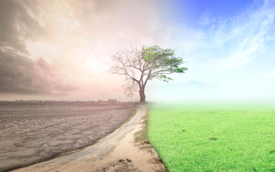 The European Parliament declares climate emergency