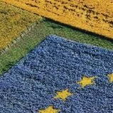 Call for papers - UNISCAPE Conference