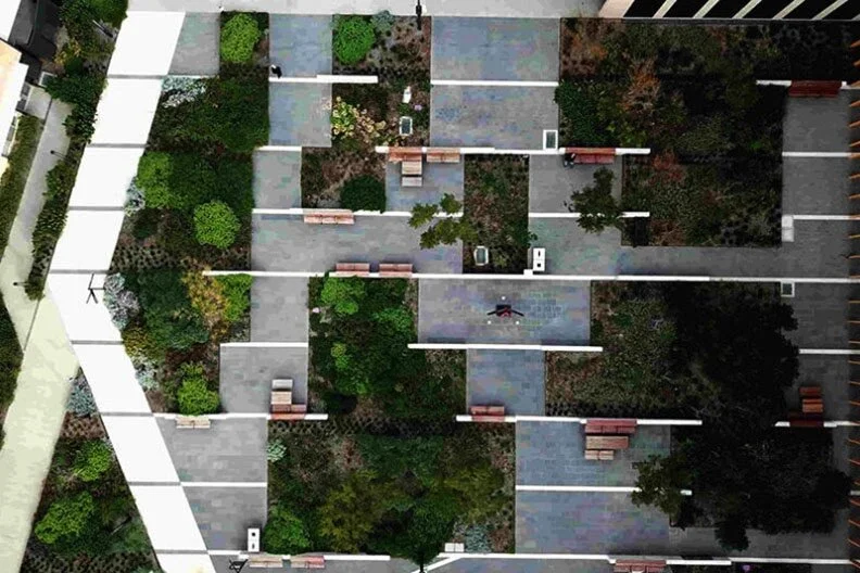 Foreground newsletter - 29 January 2020