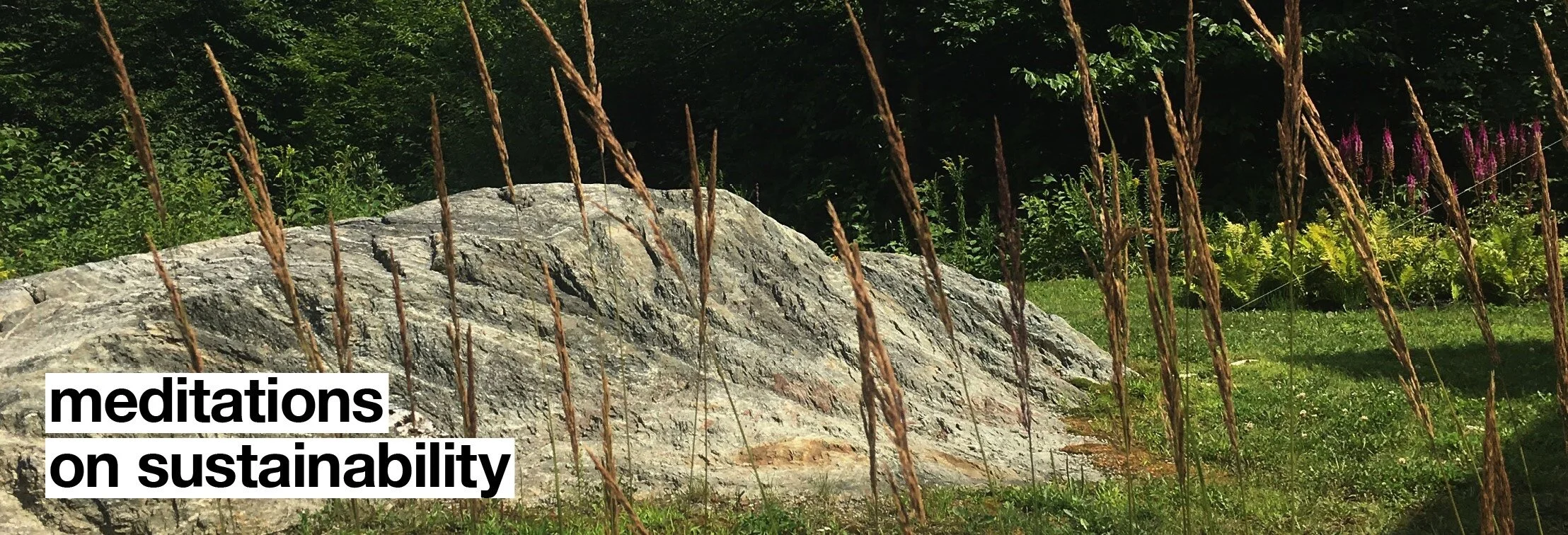 Ico-D Newsletter January 2020