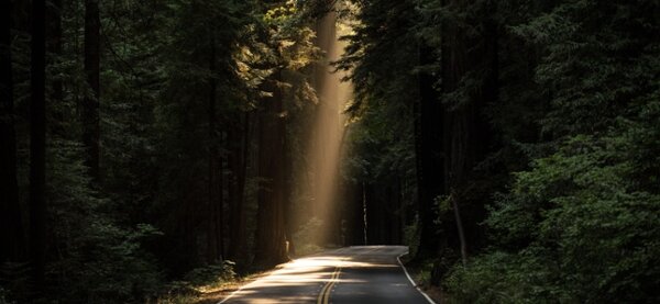 IFLA Asia-Pacific Newsletter 20 May 2020