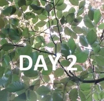 Watch Day 2 of the 2020 IFLA World Council here