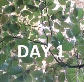 Watch Day 1 of the 2020 IFLA World Council