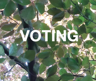 2020 World Council Voting Results