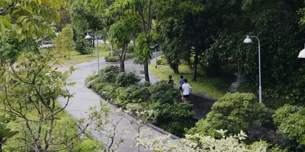 IFLA APR Newsletter - September 2020