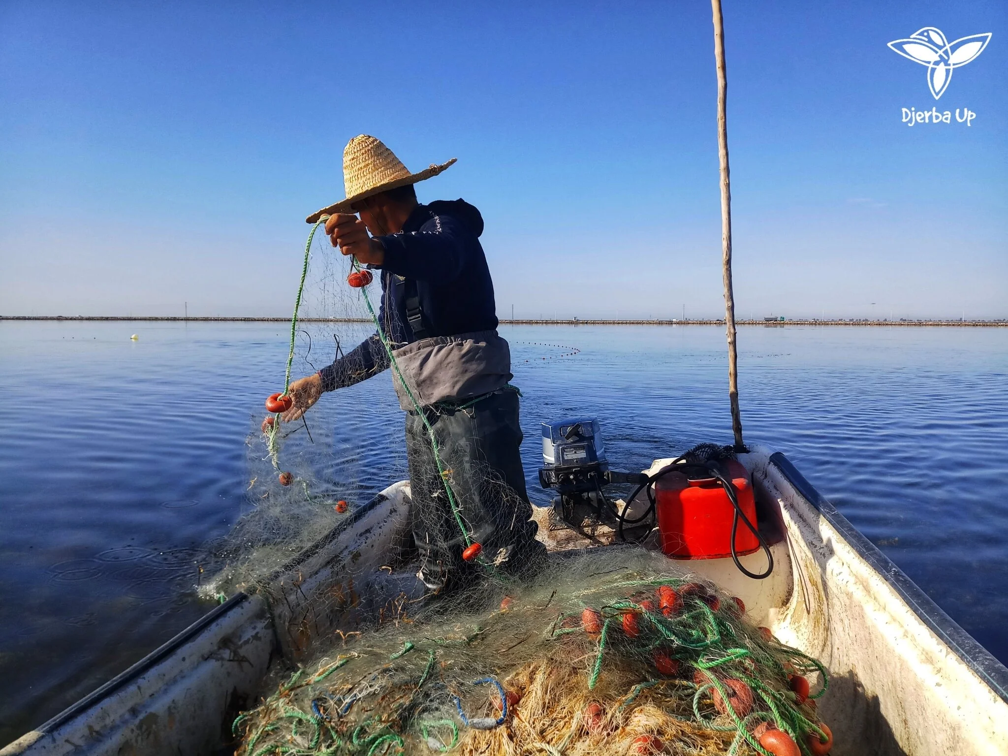 IFLA Africa News - October 2020