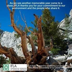 Seasons Greetings from IFLA World