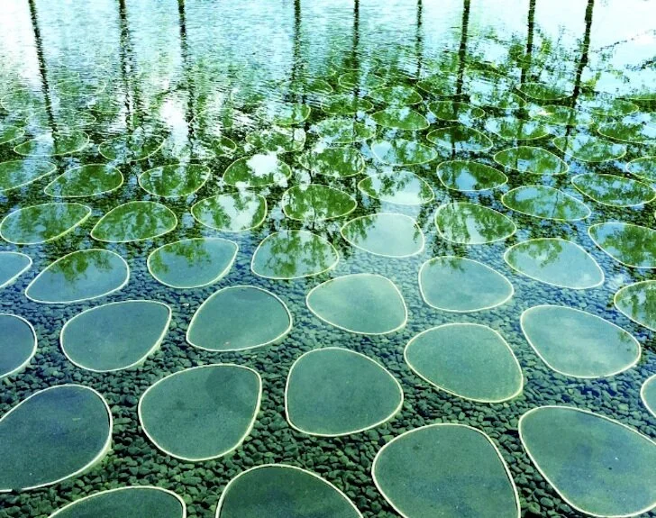 IFLA launches call for Director of SGJA Secretariat