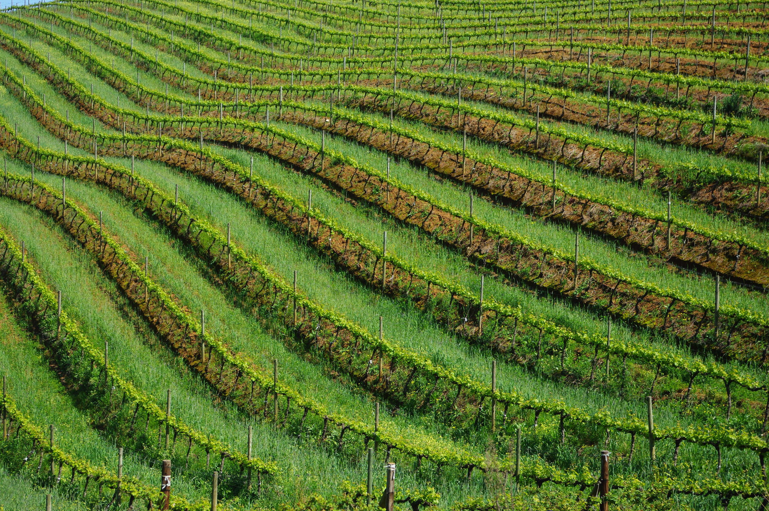 African Landscape Network